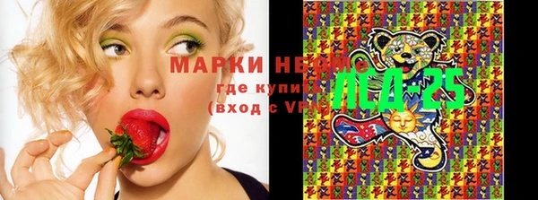твердый Майский