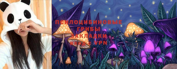 твердый Майский