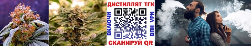 Купить  Карачаевск  ТГК жижа 