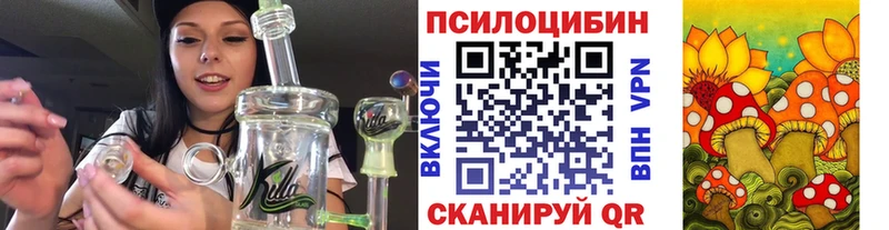 Купить где  Карачаевск  Галлюциногенные грибы MAGIC MUSHROOMS 